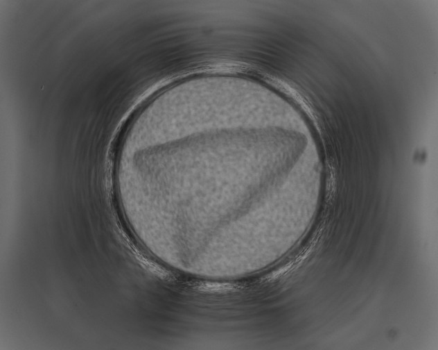 X0000096980835200803071027