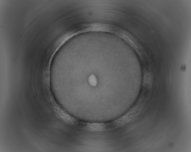 X0000096980836200803071027