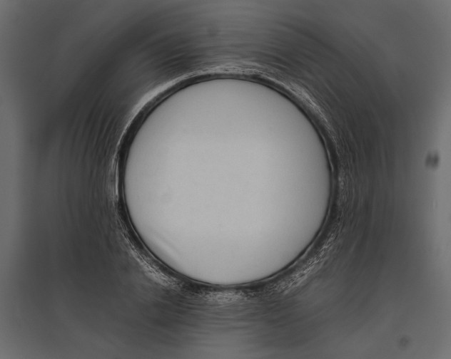 X0000096980838200803071027