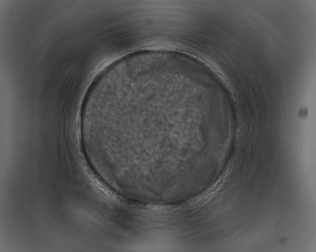 X0000096980840200803071027