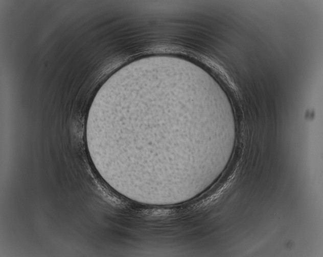 X0000096980841200803071027