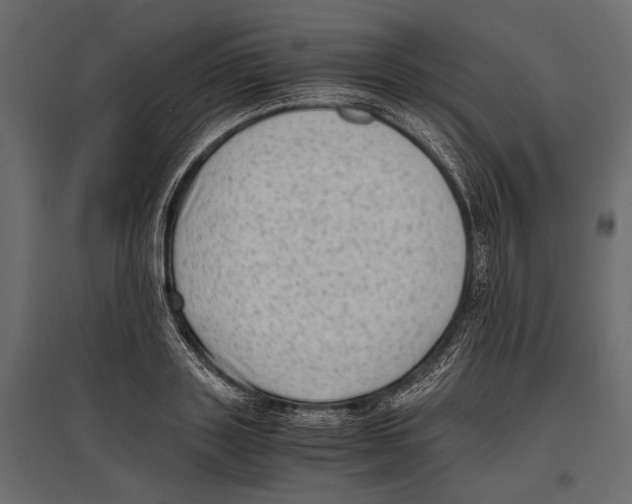 X0000096980843200803071027