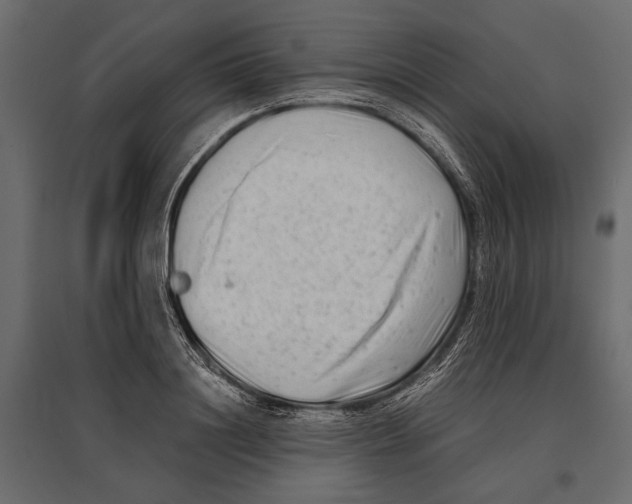 X0000096980844200803071027