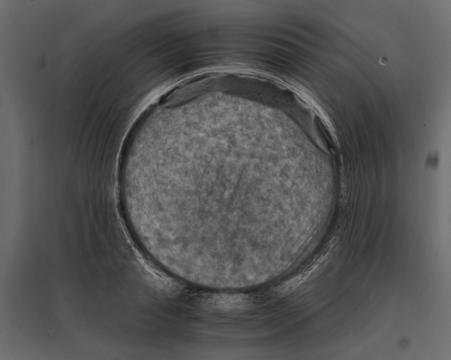 X0000096980845200803071027