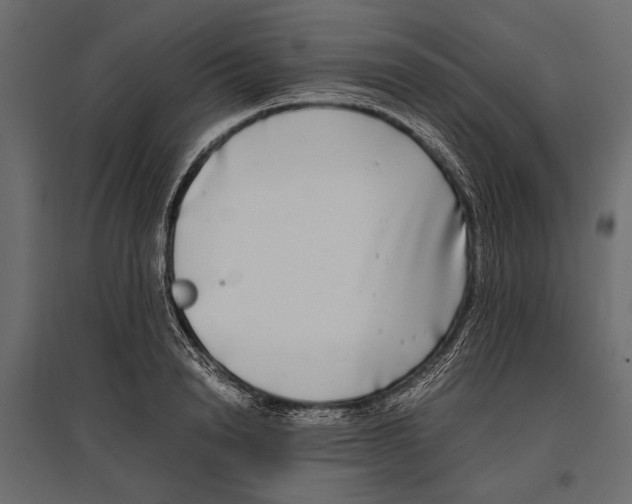 X0000096980846200803071027