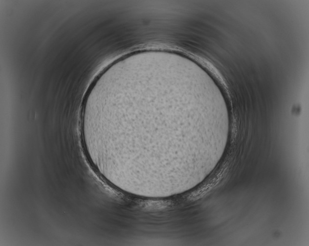 X0000096980847200803071027