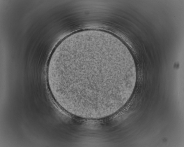 X0000096980848200803071027