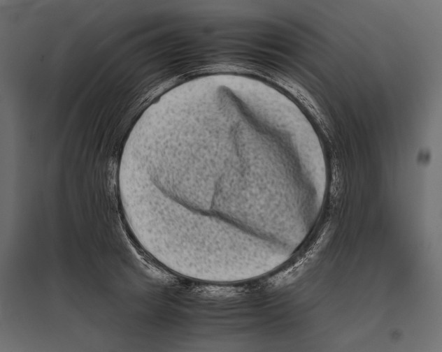 X0000096980849200803071027