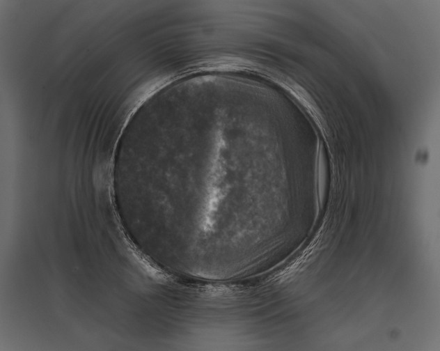 X0000096980850200803071027