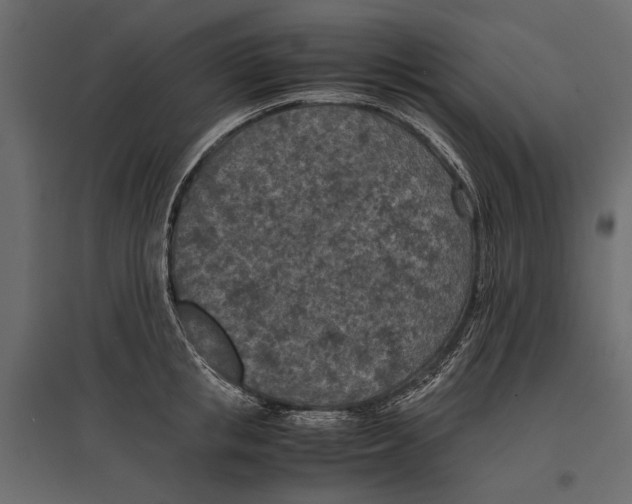 X0000096980853200803071028