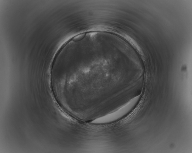 X0000096980854200803071028