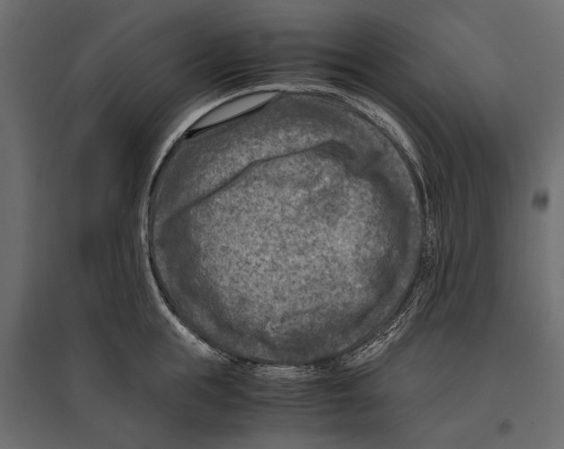 X0000096980855200803071028