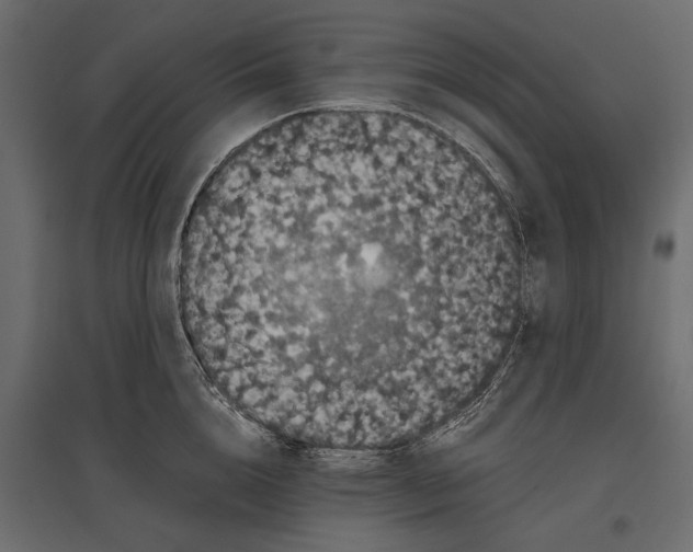 X0000096980856200803071028