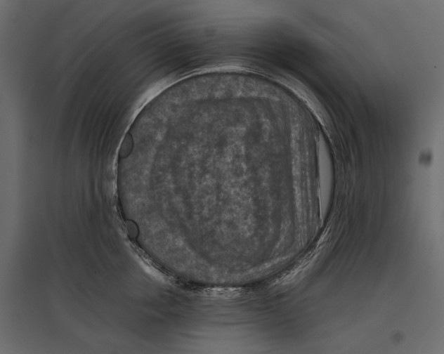 X0000096980858200803071028