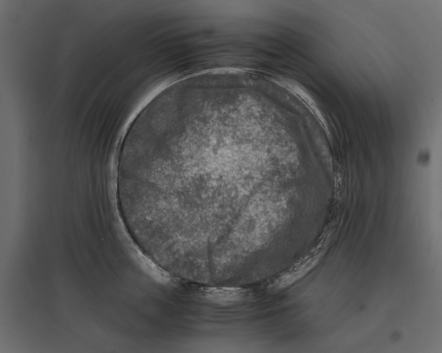 X0000096980859200803071028