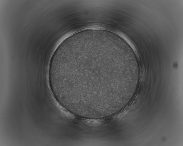 X0000096980861200803071028