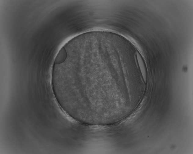 X0000096980862200803071028