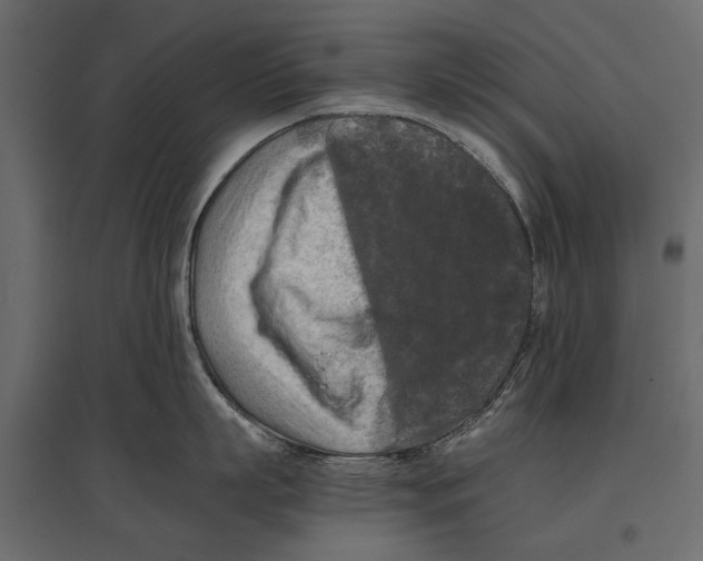 X0000096980863200803071028