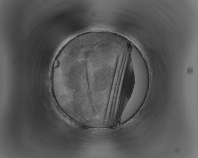 X0000096980864200803071028