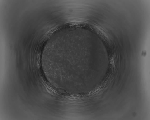 X0000096980868200803071027