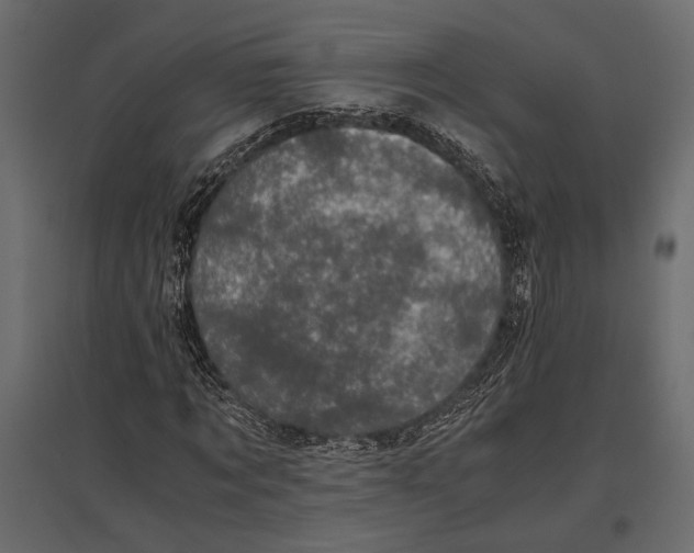 X0000096980869200803071027