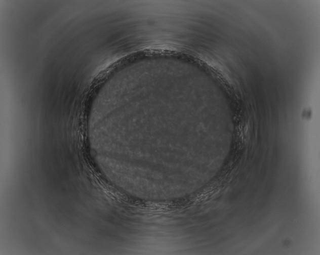 X0000096980870200803071027