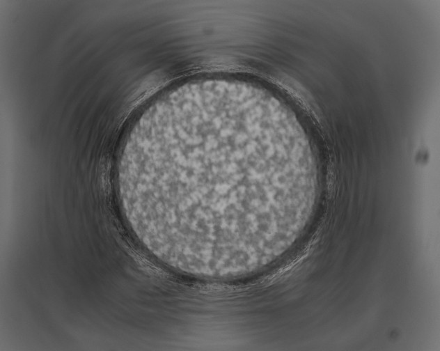 X0000096980873200803071027