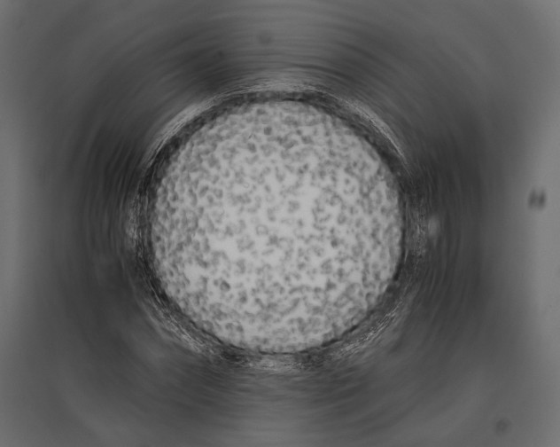 X0000096980874200803071027