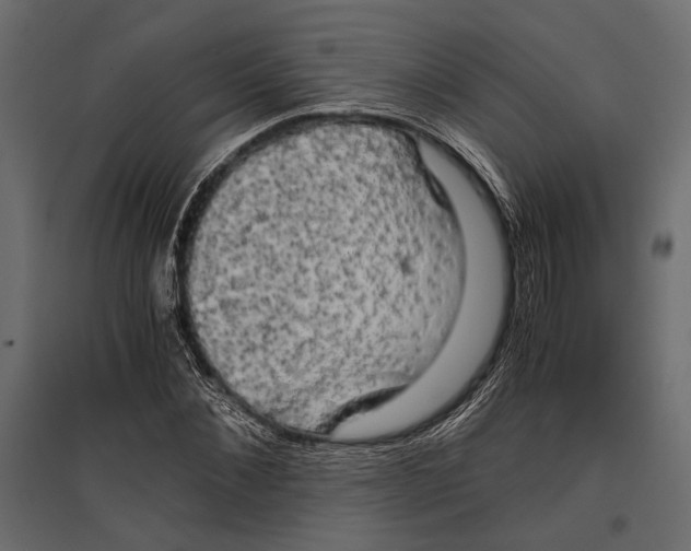 X0000096980876200803071027