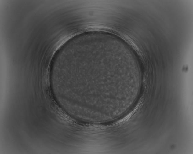 X0000096980877200803071027