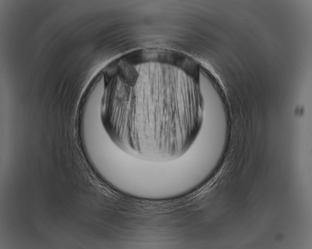 X0000096980879200803071027