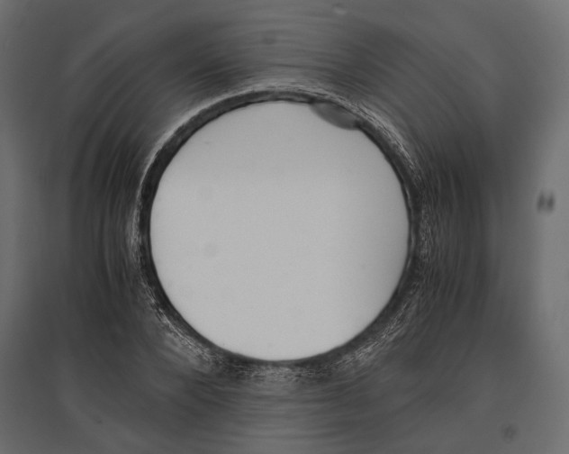 X0000096980880200803071027