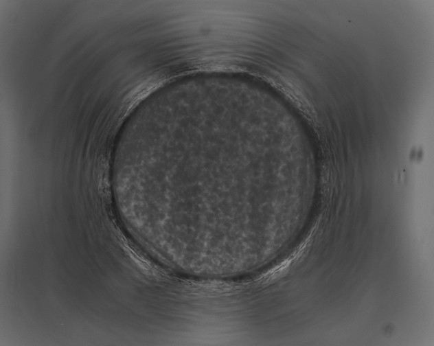 X0000096980881200803071027