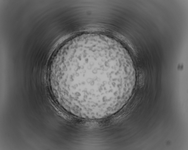 X0000096980882200803071027