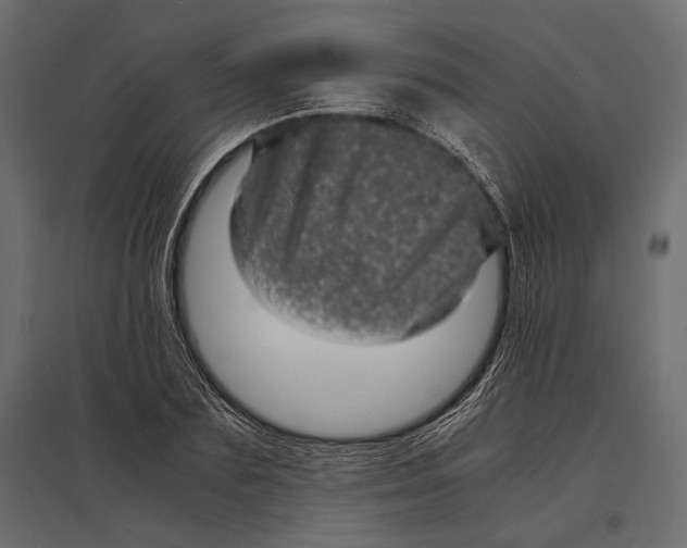 X0000096980883200803071027