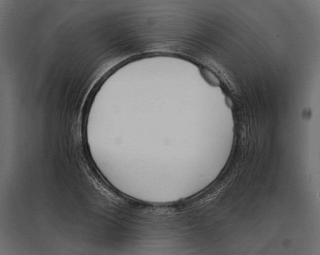 X0000096980884200803071027