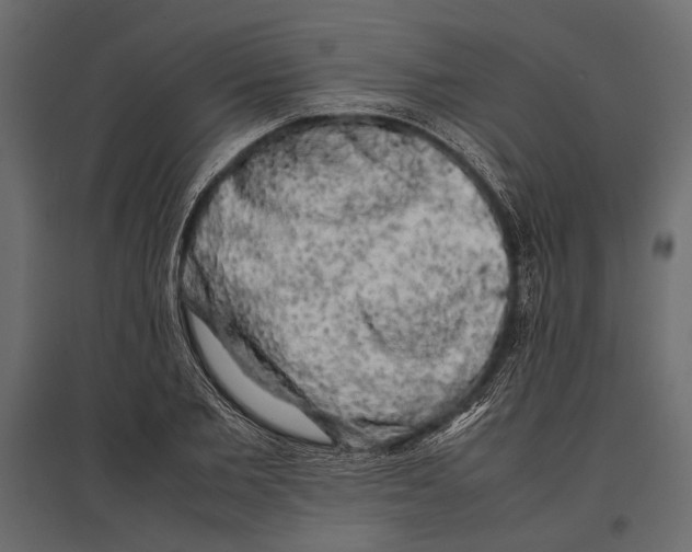 X0000096980885200803071027