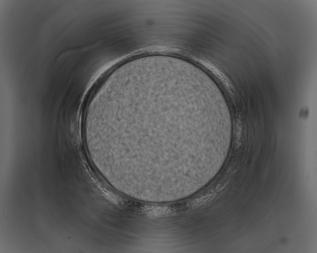 X0000096980886200803071027