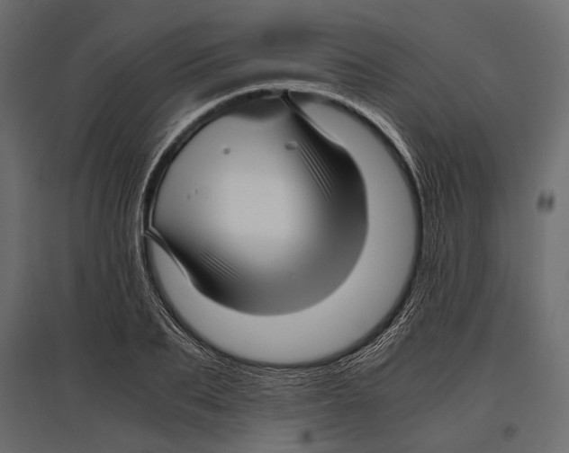 X0000096980887200803071027