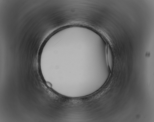 X0000096980888200803071027