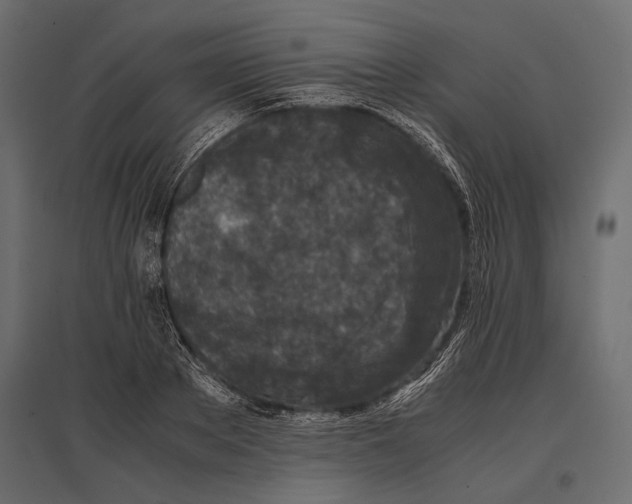 X0000096980889200803071027