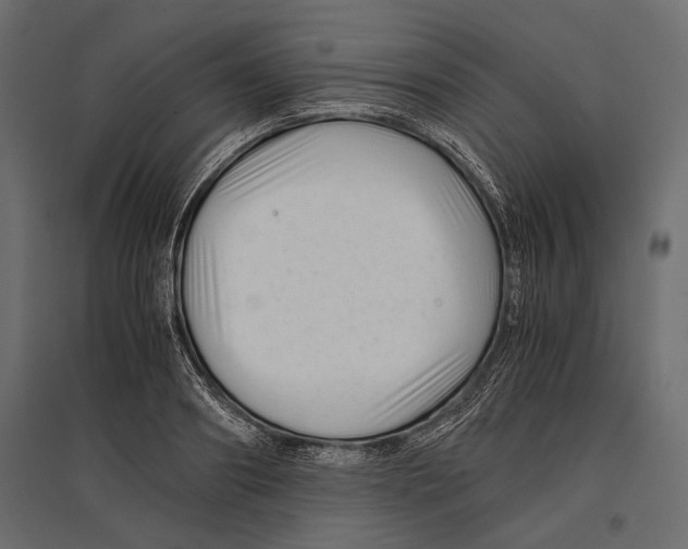 X0000096980890200803071027