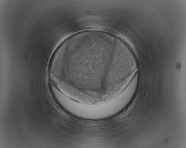 X0000096980891200803071027