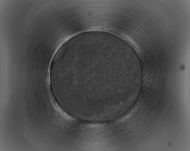 X0000096980892200803071027