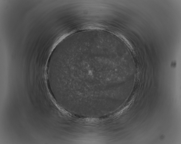 X0000096980893200803071027