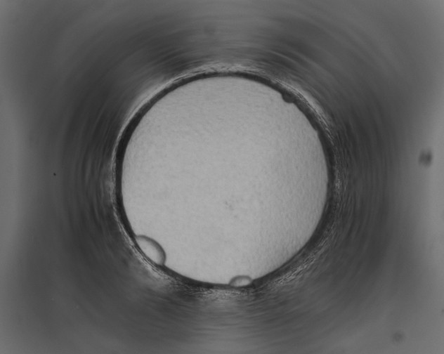 X0000096980894200803071027