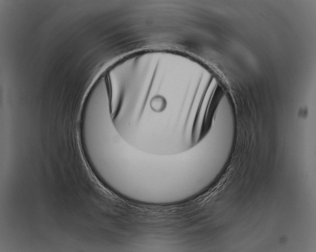 X0000096980895200803071027