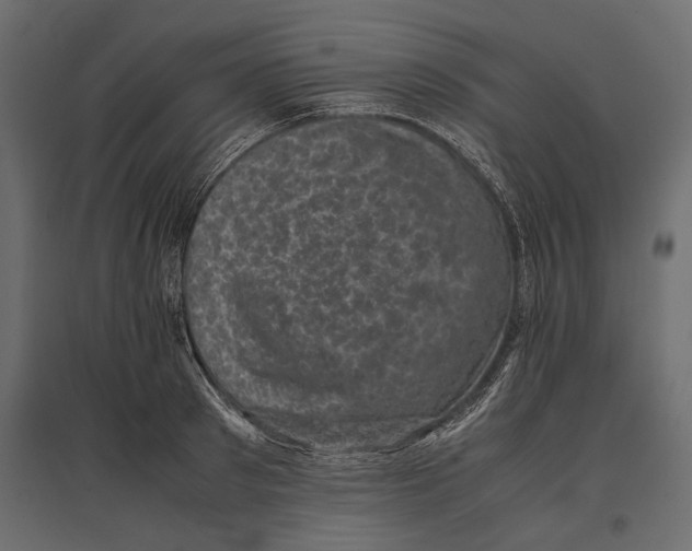 X0000096980897200803071027