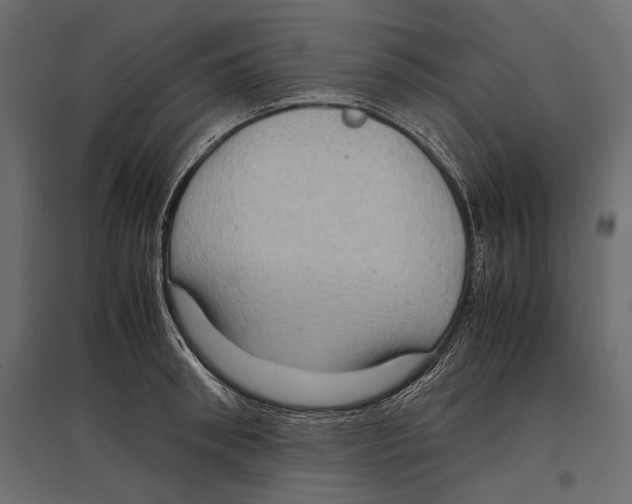 X0000096980898200803071026