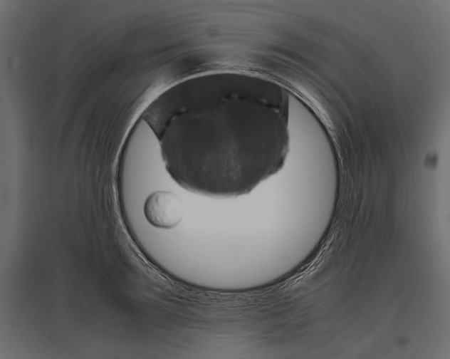 X0000096980899200803071026